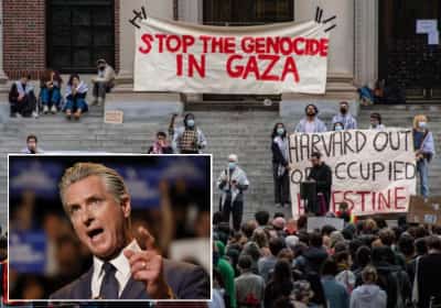 מושל קליפורניה נגד האוניברסיטאות שהסכימו להסדרים עם הממשל: "מכרו את נשמתן לטראמפ"