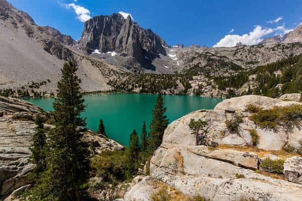 להתראות ותודה על הדגים: ואם תצאו לחופשת סוף השבוע הזו, אתם תודו גם על העצים