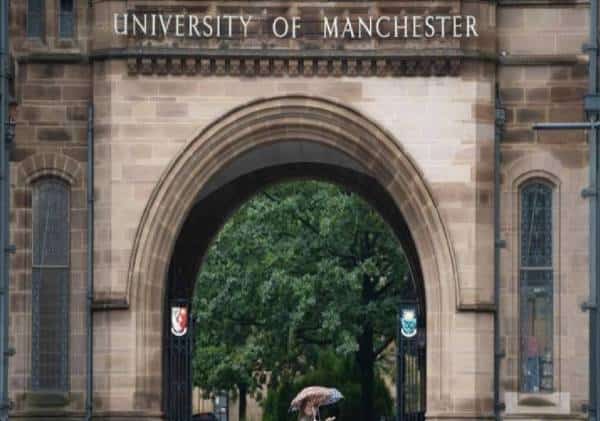 טירוף - סטודנטים שלחו עצומה לראשי האוניברסיטה: "יש לאסור על השימוש במילה שחור"