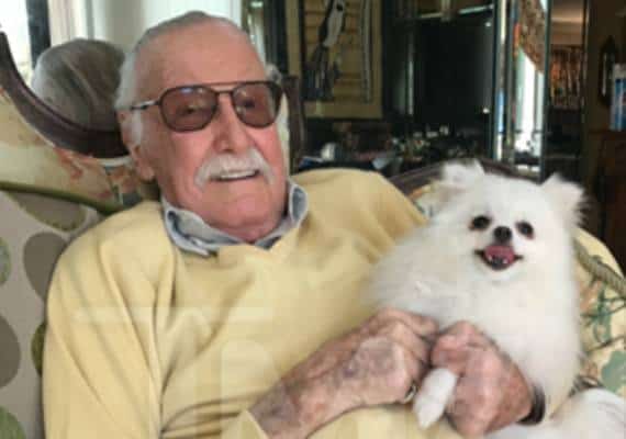 הכלבה של סטן לי חזרה הביתה