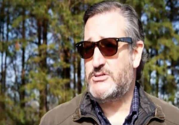 טד קרוז בהתבטאות חריגה: "גוגל החברה המסוכנת עלי אדמות"