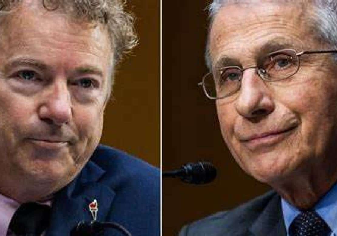 ‏ראנד פול לפאוצ'י: 'אני מבטיח לך שהציבור ילמד מאיפה אתה מקבל את הכסף שלך"