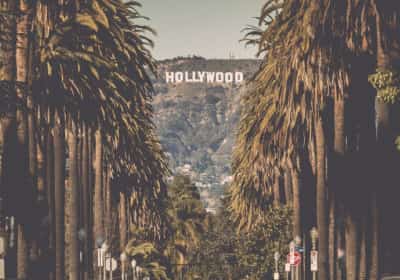 ניוסום מנסה להחיות את הוליווד: הפקות קולנוע וטלוויזיה יזכו להטבות מס