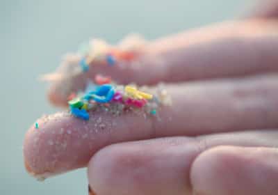 נמצאה הדרך להיפטר מ'כימיקלים לנצח'? פריצת דרך רפואית מביאה תקווה חדשה