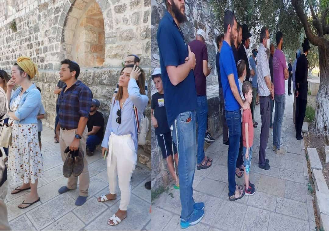 "מהפכת הר-הבית": אלפי ישראלים, ביניהם חילונים חוו "ניצני תפילה במניין" ועשו היסטוריה, ויש התוהים - יבנה המקדש?