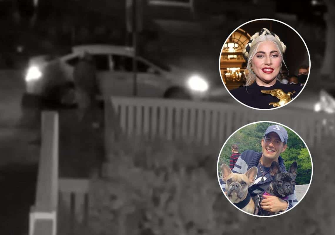 "עקבו אחר ה'דוג ווקר' לאורך סאנסט וביקשו לקבל את הפרס הכספי": נחשפו פרטים חדשים על חטיפת כלביה של ליידי גאגא