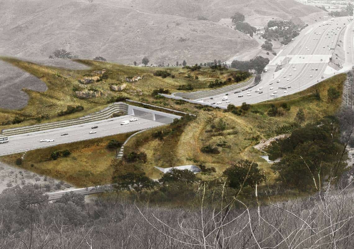 המעבר האקולוגי הגדול בעולם קורם עור וגידים: קרוב ל-20 מיליון דולר נתרמו לפרויקט השאפתני בדרום קליפורניה