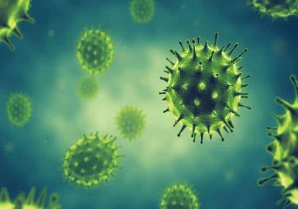 "אם אדבק עכשיו לפחות גופי יהיה חסין לקורונה בחורף?"  