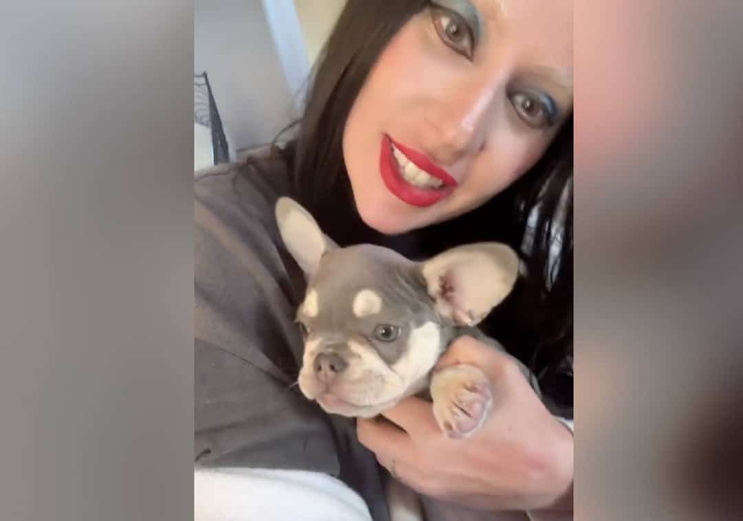 3 שנים אחרי שכלביה נשדדו ממנה: ליידי גאגא מציגה את בן המשפחה החדש