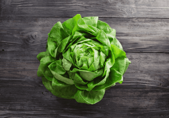 מספרים גבוהים של קלקולי קיבה הביאה את מקדונלדס להחליף את ספק החסה