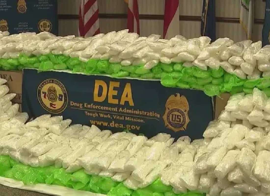 יותר מטון מתאמפטמין הוסתר בסלרי בשוק איכרים בג'ורג'יה