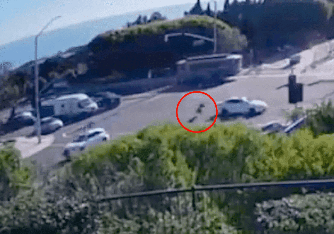 האיש שדרס ודקר למוות את הד"ר בקליפורניה לא מתחרט, ומסביר: "אני ישו"