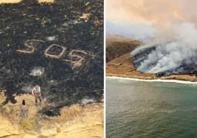 אי מול חופי דרום קליפורניה עולה באש: השריפה הגדולה בתולדותיו החלה אחרי אות מצוקה