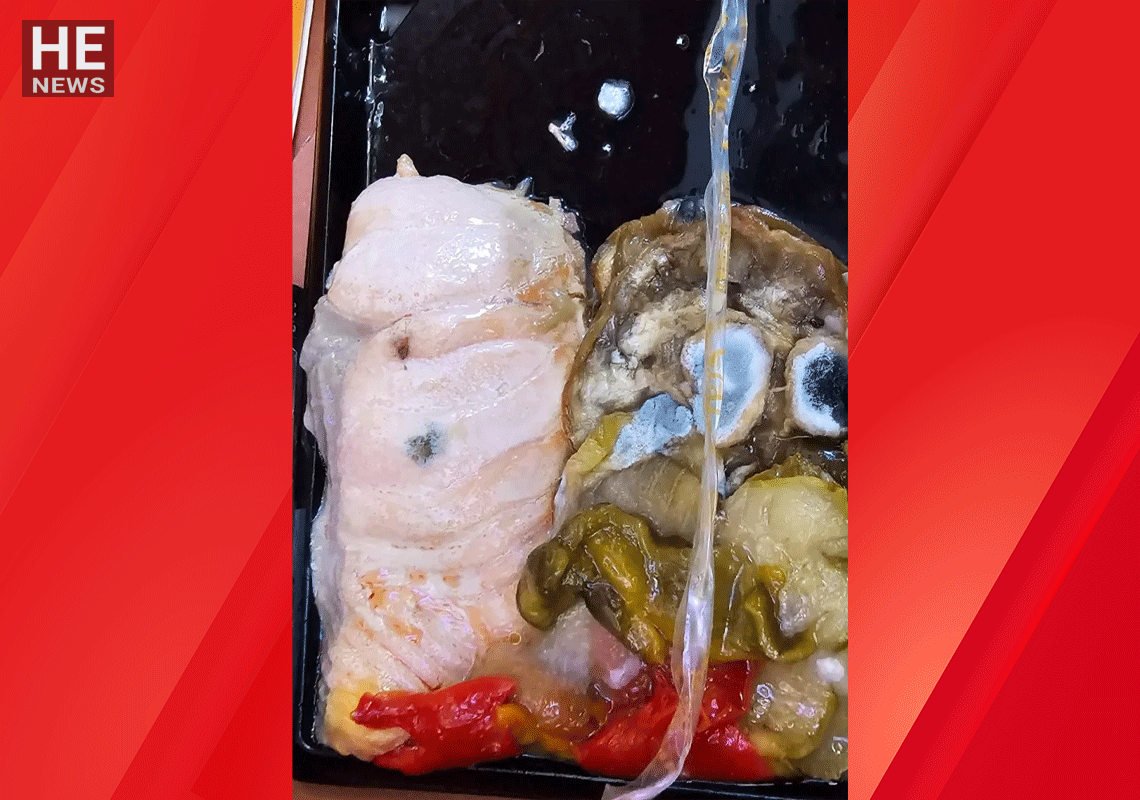 "אני חושב זה אמור היה להיות סלמון": נוסעי אמריקן איירליינס קיבלו ארוחה כשרה מעופשת ומלאת עובש בטיסה לניו יורק