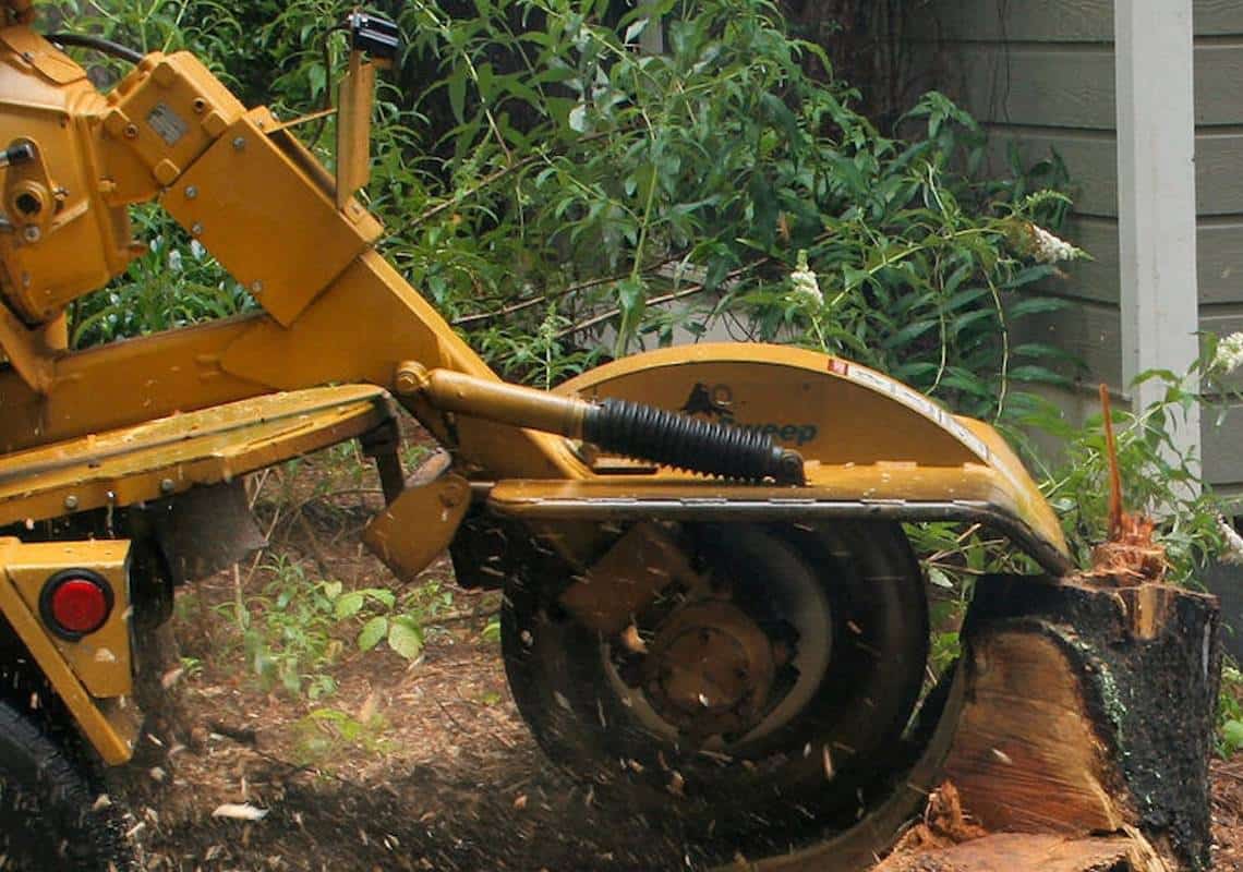 "לא החזיק ברישיון ולא סיפק הדרכת בטיחות": בעלי חברת גינון יועמד לדין בעקבות תאונת עבודה קטלנית