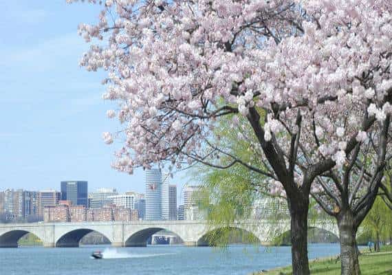 איפה הכי בריא לחיות בארצות הברית: סקר חדש חשף את העיר הכי בריאה וגם את זו שהכי לא 