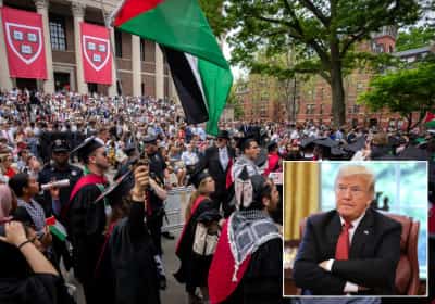 אזהרה אחרונה: ממשל טראמפ לוחץ – הרווארד חייבת לשנות כיוון עד אוגוסט