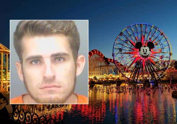 בחסות המשבר: צעיר פרץ לפארק של דיסני בדרום קליפורניה