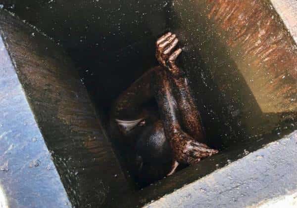 48 שעות חרדה: אדם נלכד בתעלת מיזוג אוויר במשך יומיים