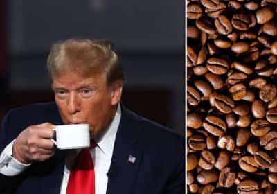 מאמץ דו-מפלגתי בקונגרס: קריאה לטראמפ לבטל את המכס על קפה 