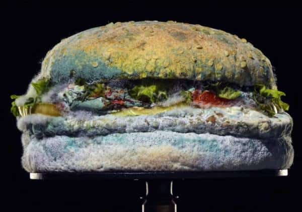 בורגר קינג מציגה: הפרסומת המגעילה שתגרום לכם לקנות המבורגר