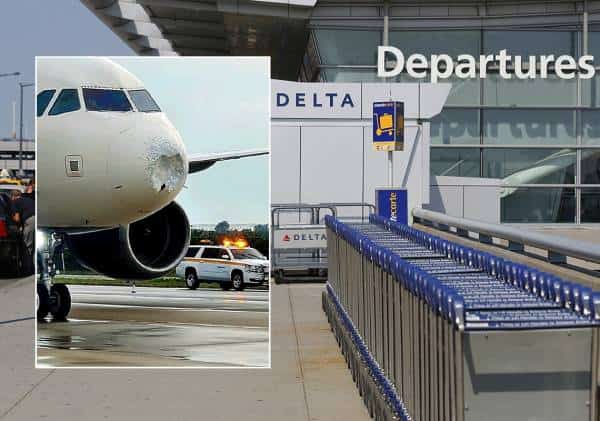 בעקבות פגיעת ציפורים: טיסת דלתא ביצעה נחיתת חירום בניו יורק