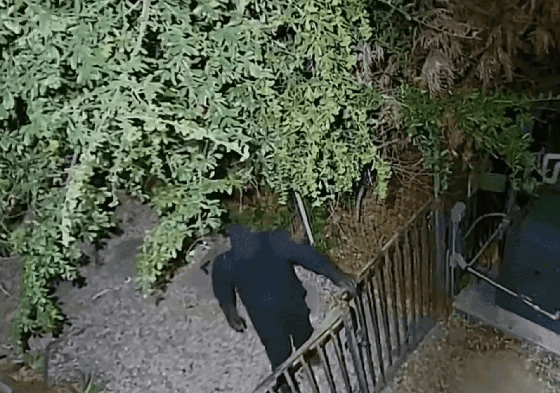 לא רק בלוס אנג'לס: 'תיירות הפשע' מדרום אמריקה מתפשטת ברחבי ארה"ב