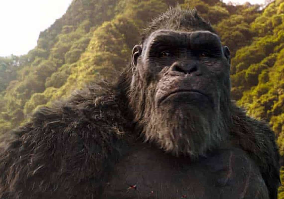 הכירו: זהו שובר הקופות הראשון של 2021