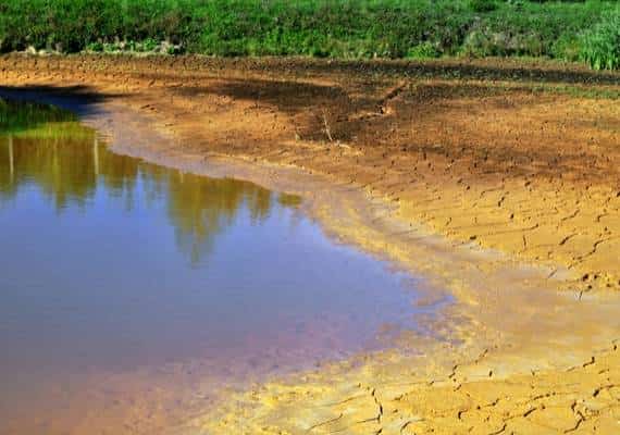 אחרי יותר משמונה שנים: קליפורניה התגברה על הבצורת