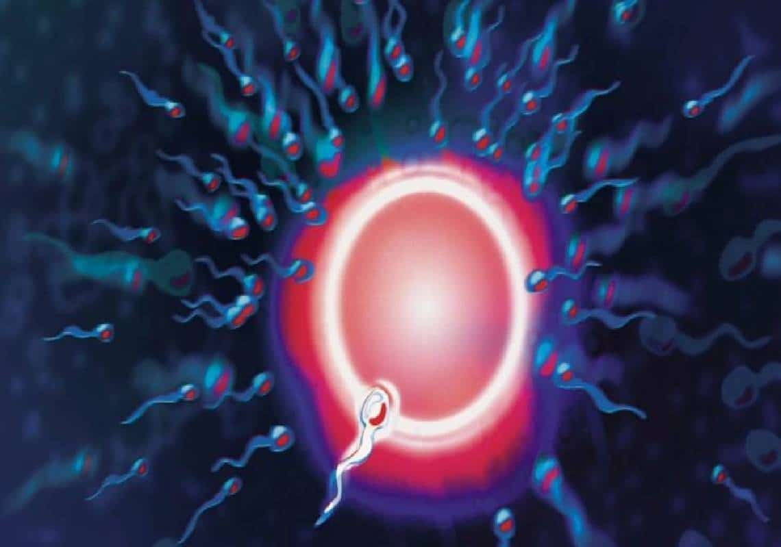 "גברים לא יהיו מסוגלים לייצר זרע בשנת 2045": פרופסורית בכירה לאפידמולוגית מזהירה - אנו בדרך למשבר זרע עולמי"