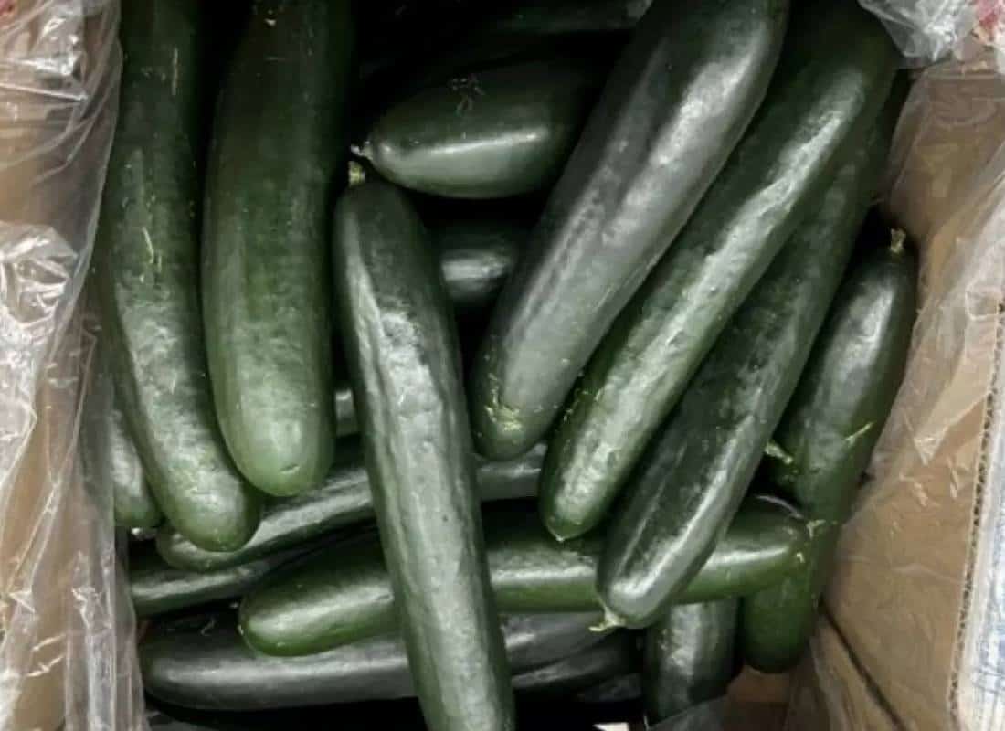 גל החזרות המזון בארה"ב: 26 מוצרים נמשכו מהמדפים בשלושה חודשים