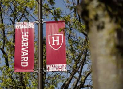 שופטת פדרלית חוסמת את טראמפ: הרווארד תוכל להמשיך לקבל סטודנטים זרים ללימודים