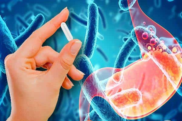 הדשא של השכן פרוביוטי יותר: או מה ההבדל בין פרוביוטיקה לפרביוטיקה?