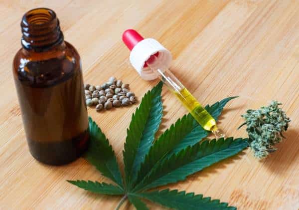 "קנאביס הוא העסק החיוני החדש ביותר באמריקה" 