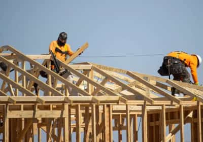 נמשכת הצניחה במחירי העץ: עוד סימן לכך ששוק הדיור האמריקאי תקוע