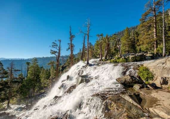 מגיפת הסלפי: צעירה ניסתה להצטלם מעל אגם טאהו ונפלה אל מותה