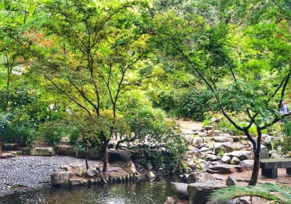 כל הפעילויות הכי שוות שאפשר לעשות בלוס אנג'לס תחת כיפת השמיים