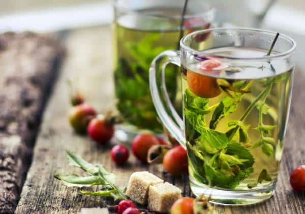 במיוחד לחורף: מגוון חליטות בריאות וטעימות מצמחי מרפא, שורשים ועלים שקל להכין בבית