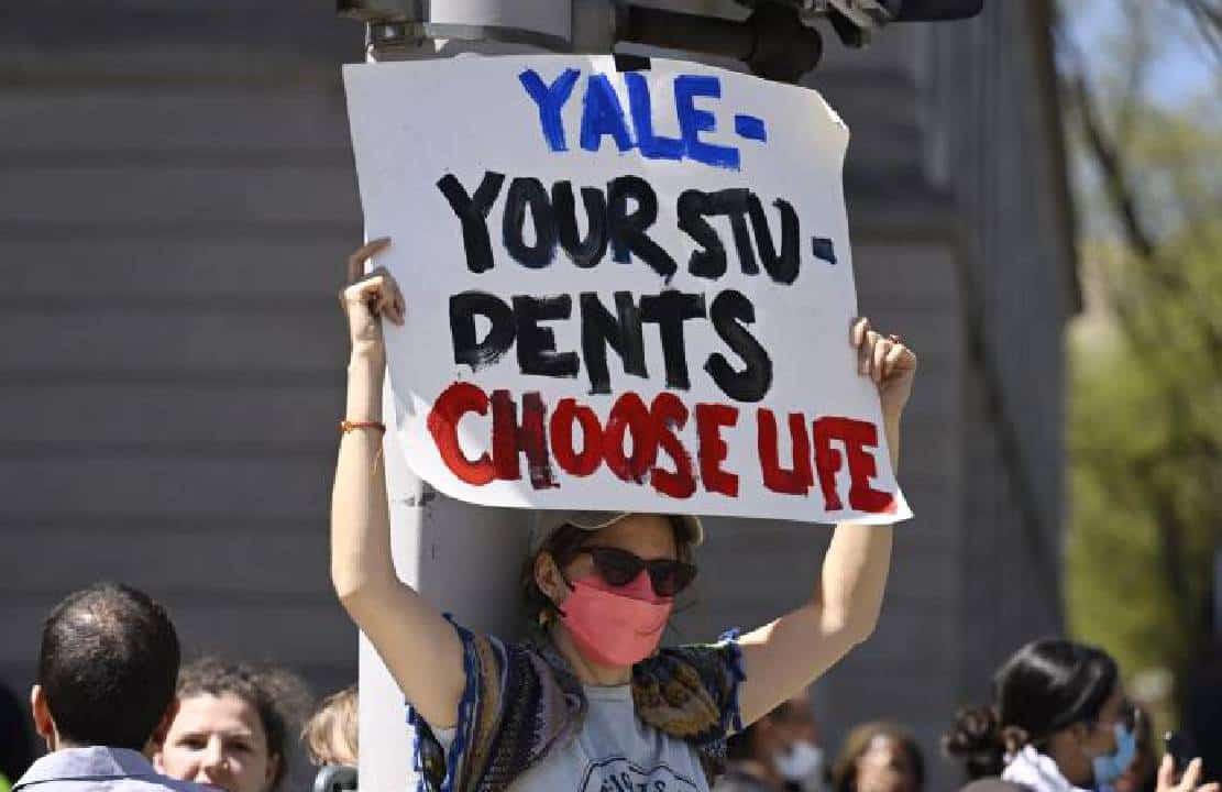 שובתי רעב אנטי-ישראליים בייל מגנים את הקפיטליזם - עם ריקודי סלסה וסושי טרי