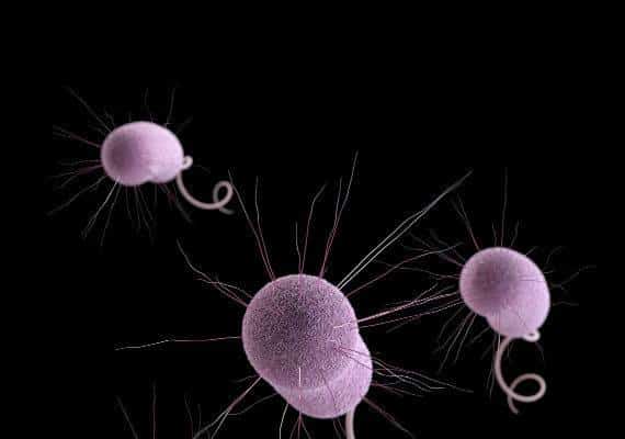 סיוט: חיידק ה-Nightmare נמצא בריכוזים גבוהים של מעל לפי 200 בארצות הברית ומציב איום התפשטות 