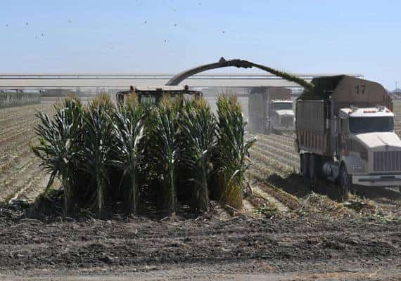 על רקע מלחמת הסחר, הממשל חילק עשרות מיליוני דולר לחקלאים