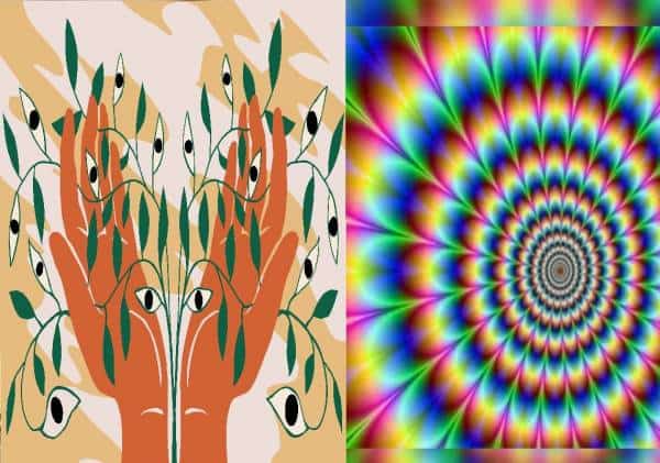 שווה טריפ: פטריות הזיה, הרואין, קוקאין ואפילו LSD - המדינה הזו בארה"ב בדרך ללגילזציה של כולם