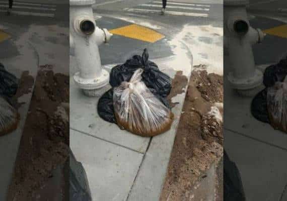 "לא ראיתי שום דבר כמו זה": הפתעה מסריחה הושארה על מדרכה בסן פרנסיסקו