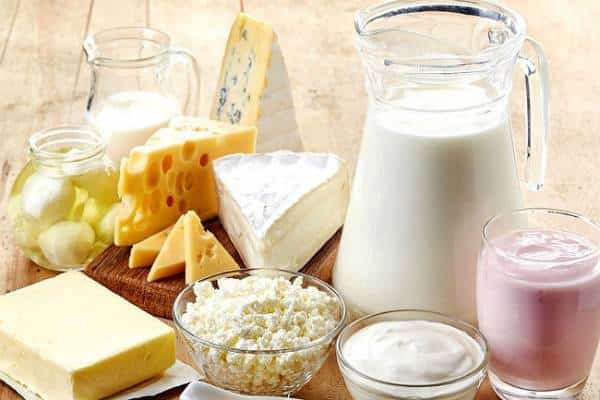 איי לאב חלב: מחקר חדש מצא שמוצרי חלב עם שומן מלא הושמצו לשווא