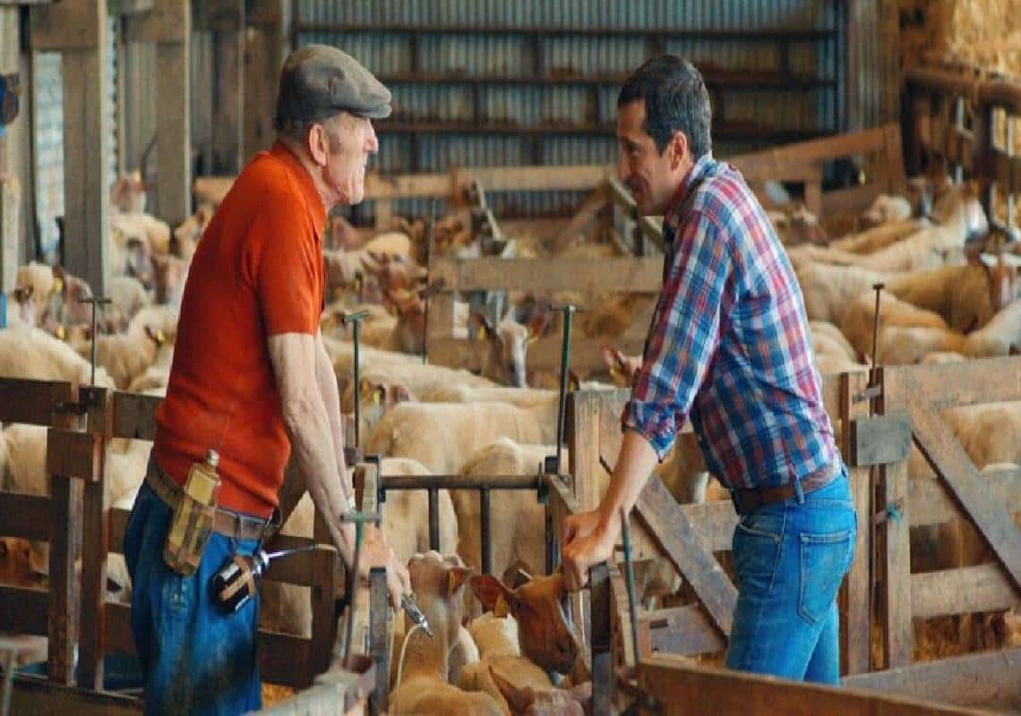 סרטו החדש של הבמאי אדואר ברג׳ו ״בשם האדמה״ מבקש לשים את חייהם של חקלאים צרפתיים בפורנט ובכך חושף לא מעט מרוכבו