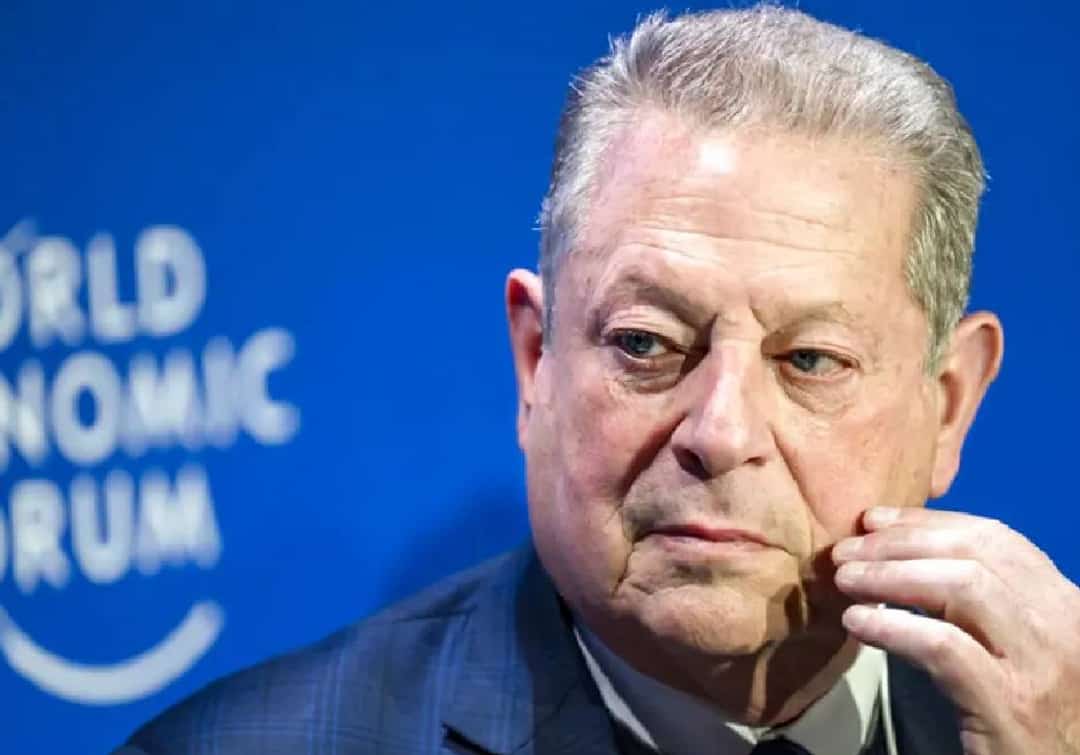 צפו: אל גור 'מאבד את זה' במהלך פאנל האקלים של הפורום הכלכלי העולמי - מזהיר מ"600,000 פצצות הירושימה מדי יום"