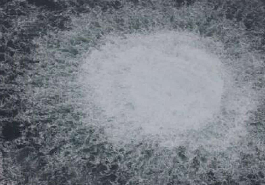 מה הם מסתירים? שבדיה מסרבת לחשוף את תוצאות חקירת פיצוץ צינור הגז נורד-סטרים