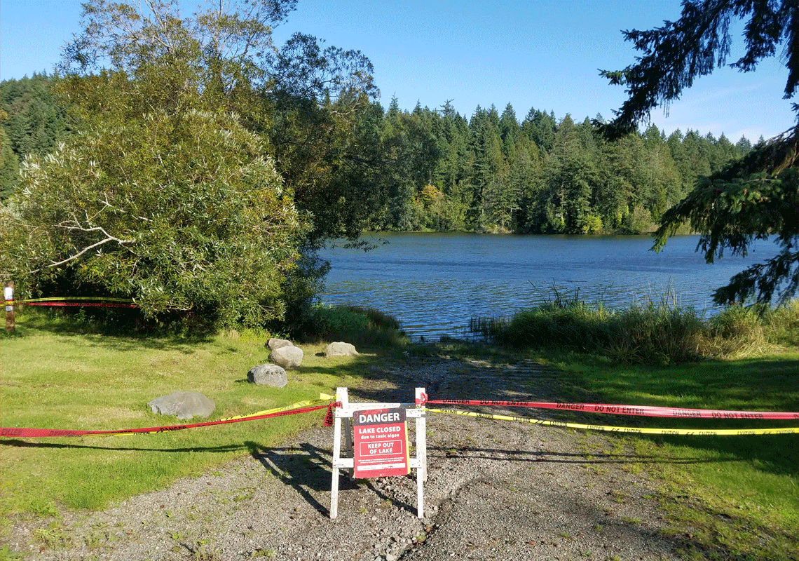 סגירת חשבונות? במשך 25 שנים לא ידעה המשטרה את זהות הגופה שנמצאה בקרקעית האגם - כעת היא גילתה והתעלומה התעצמה