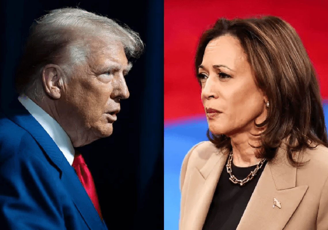 ניתוח ההצבעה המוקדמת שנמצאת בשיאה - עם 31 מיליון קולות שנאספו 