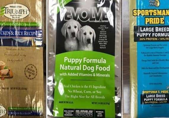 ריקול ענק של מזון לכלבים: עלול לגרום לאי-ספיקת כליות